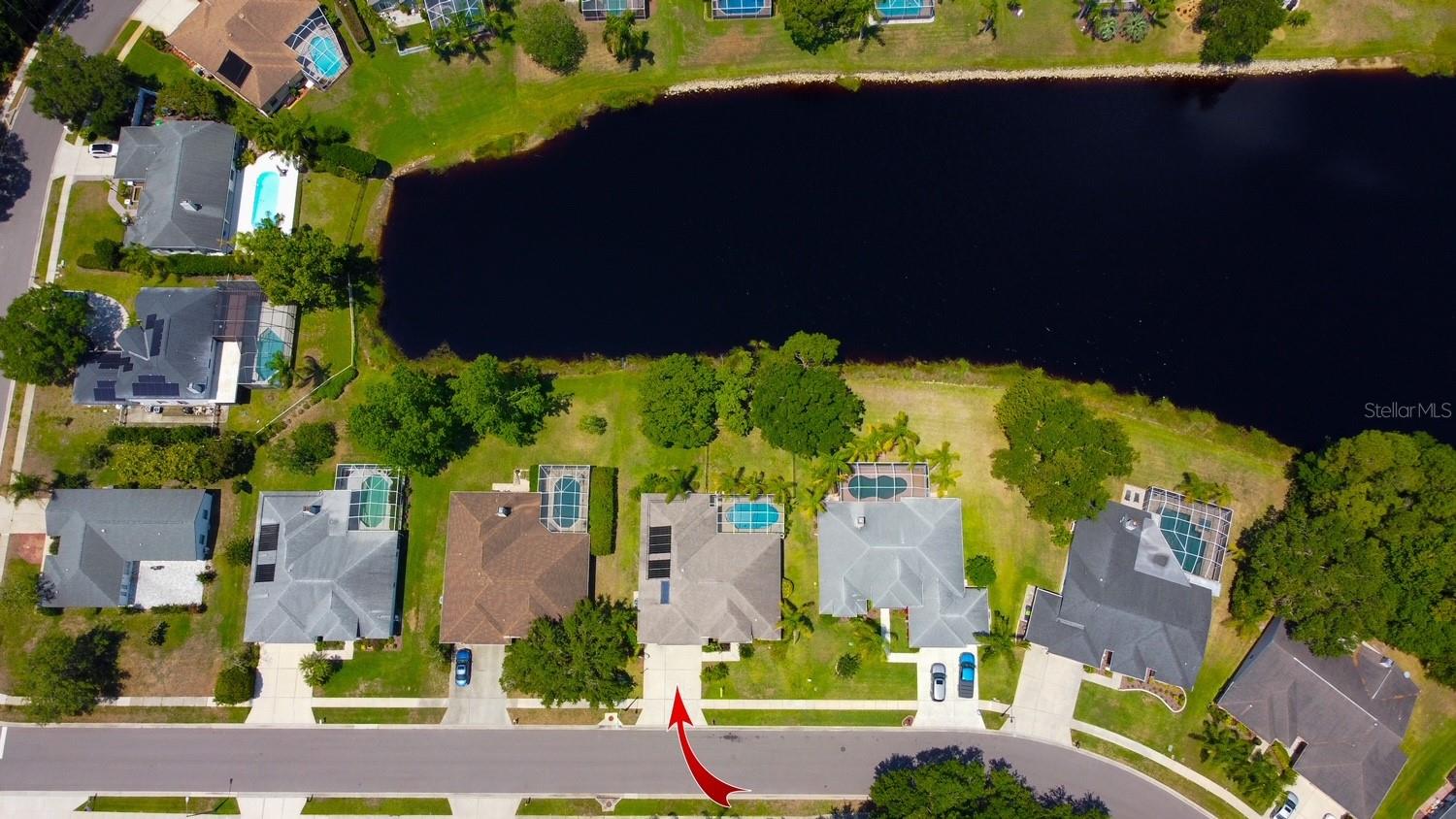 BRIDLEWOOD AT TARPON WOODS PH II - Residential