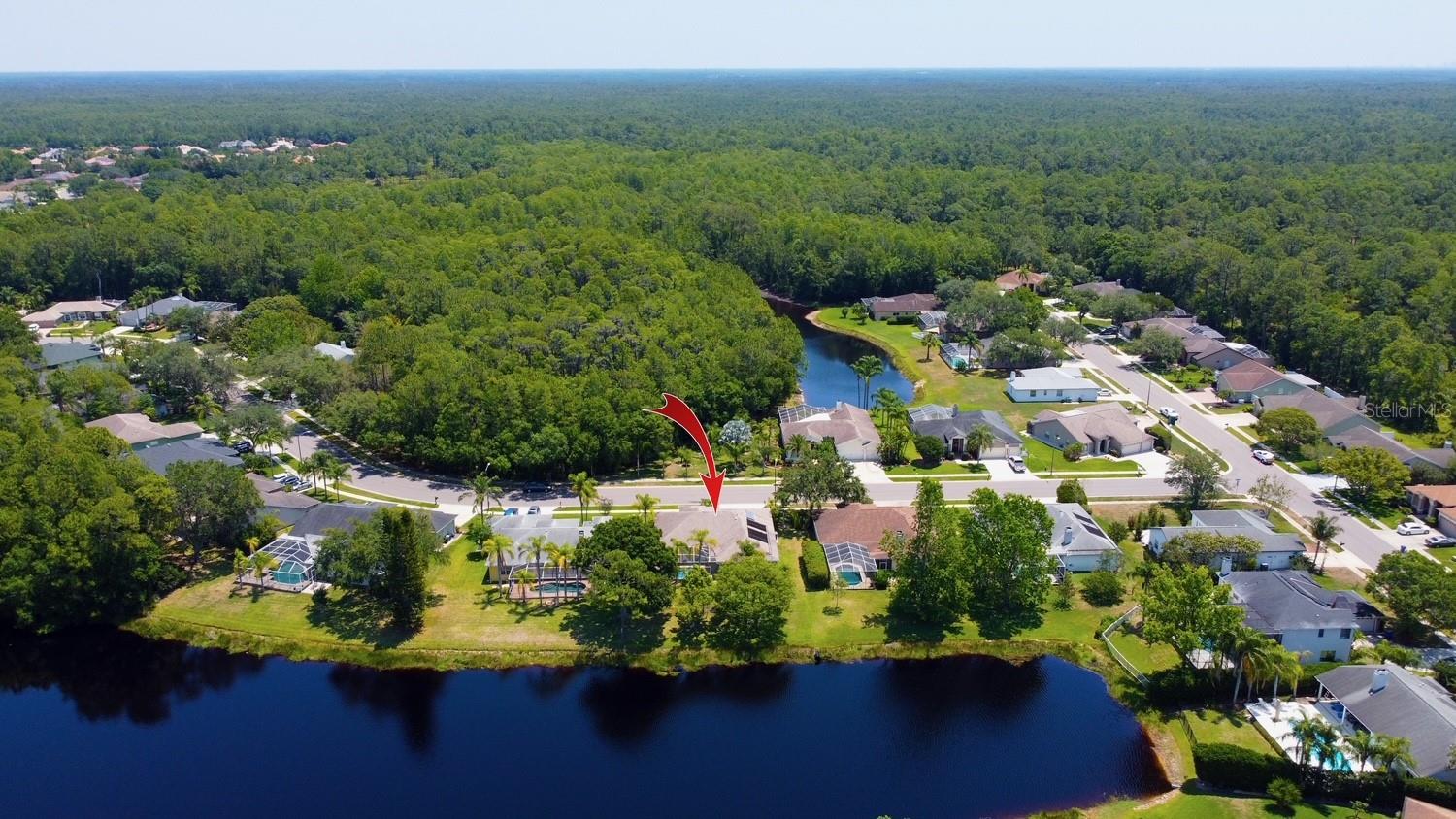 BRIDLEWOOD AT TARPON WOODS PH II - Residential