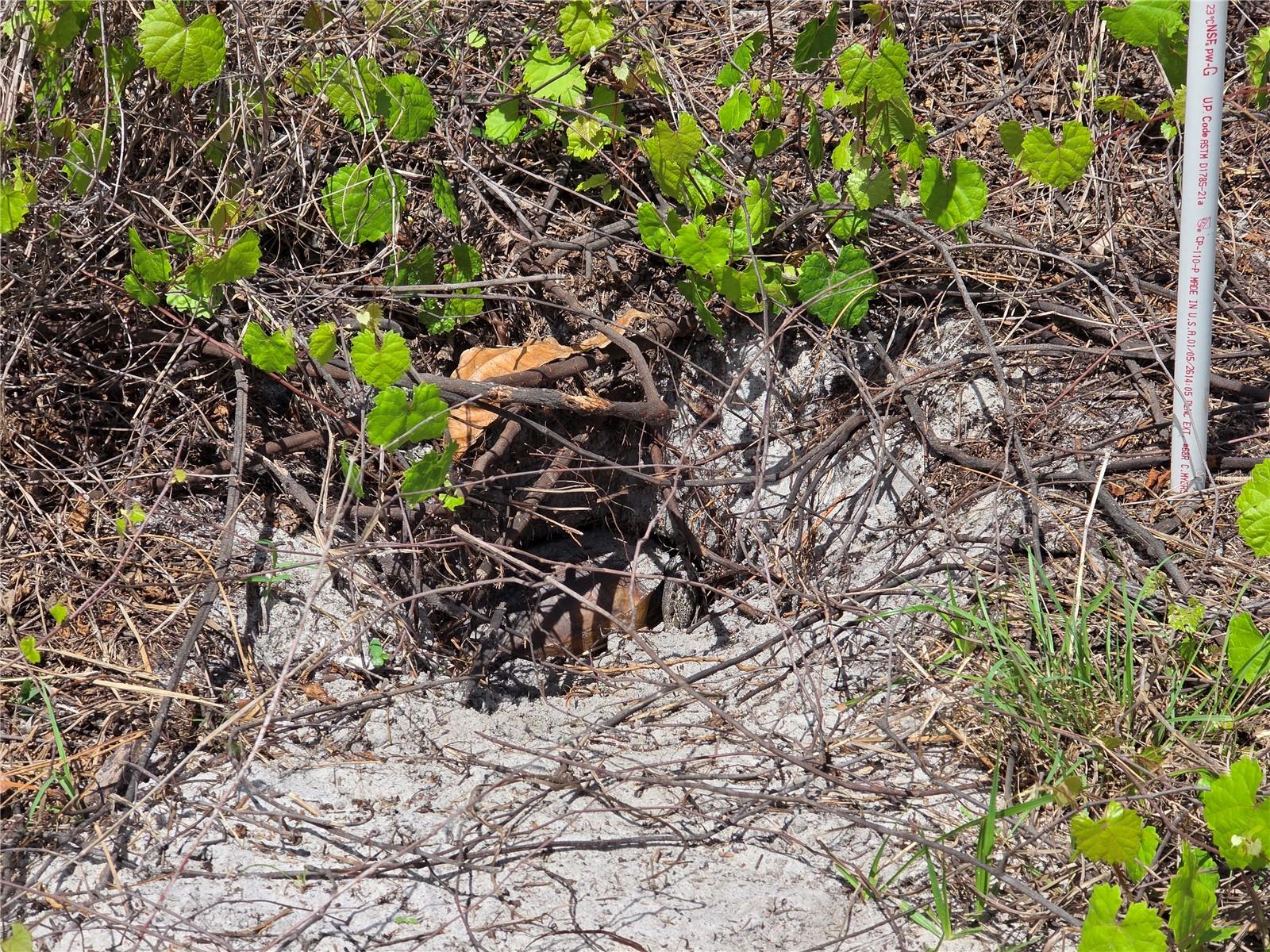 PORT CHARLOTTE SEC 033 - Land