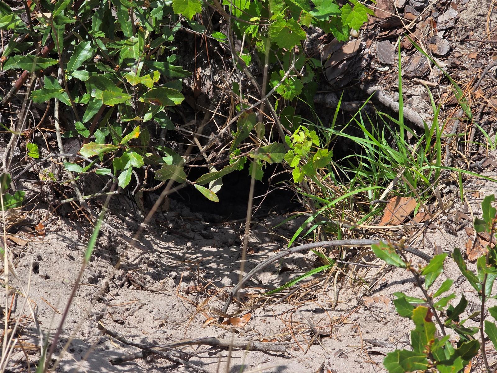 PORT CHARLOTTE SEC 033 - Land