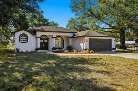 Photo of 14100 Olympic Village Lane, Brooksville, FL 34614 (MLS # W7880497)