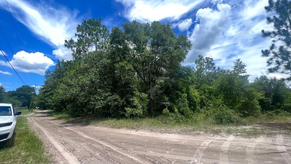 Photo of SW 156th Place, Dunnellon, FL 34432 (MLS # S5119787)