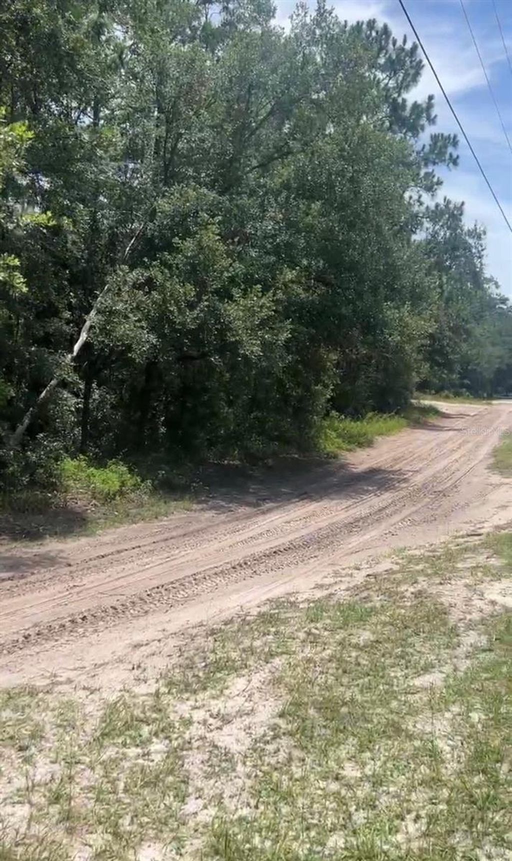 Photo of SW 156th Place, Dunnellon, FL 34432 (MLS # S5119787)