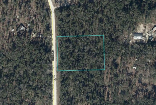 NE 386TH AVE, OLD TOWN, FL 32680 - Image 37fdce77d565d7151fc39ce4db63f169/3908286580