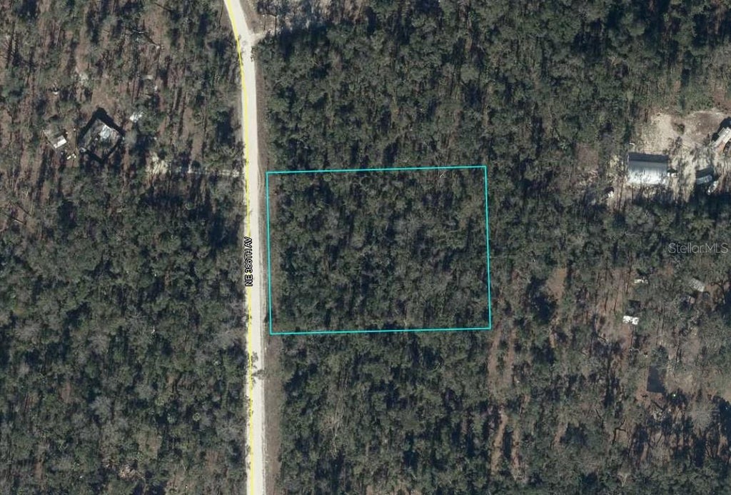 Photo of NE 386th Avenue, Old Town, FL 32680 (MLS # A4704958)