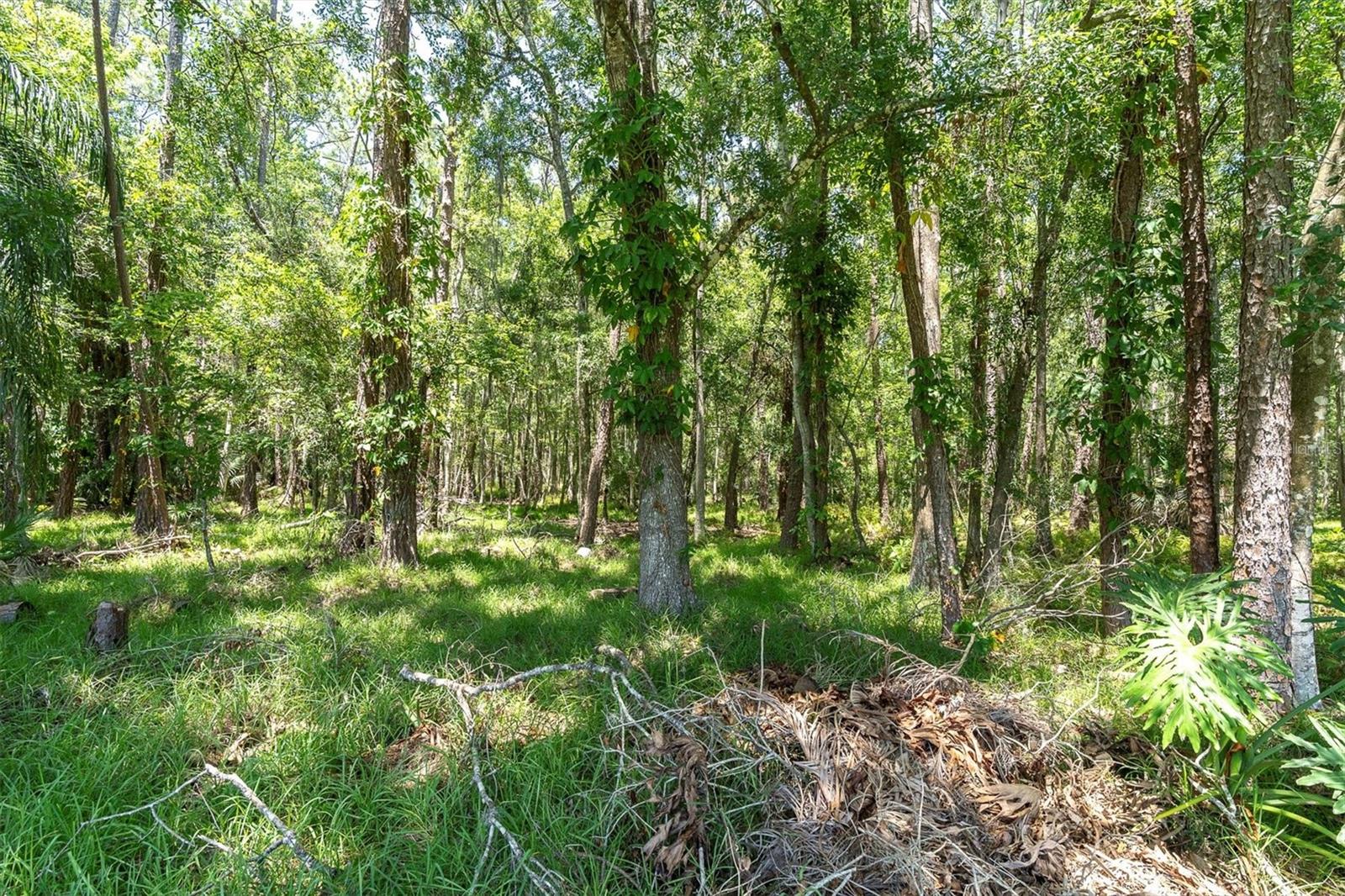 4049 WELLINGTON PARKWAY