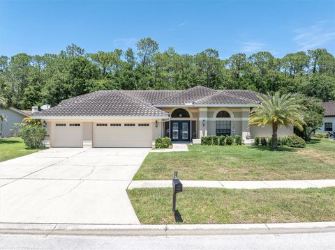 4049 WELLINGTON PARKWAY PALM HARBOR FL 34685