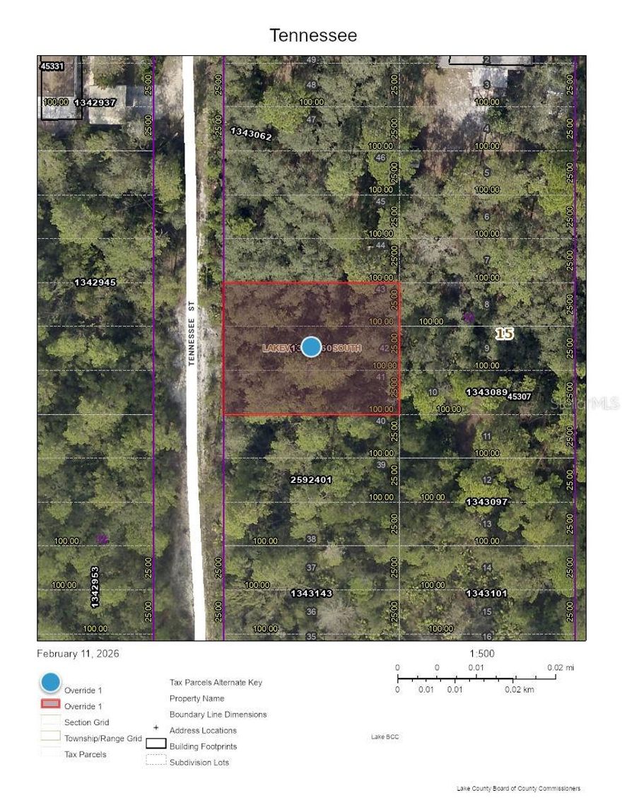 This prime undeveloped lot offers a unique opportunity to create your dream getaway or permanent residence. Nestled near the serene Ocala National Forest, this location provides endless possibilities for outdoor enthusiasts, with hiking, camping, and fishing just moments away.  With Daytona Beach only 45 minutes away, you can enjoy the sun and surf while still having a peaceful retreat to come home to. Imagine the tranquility of rural living with easy access to urban amenities and recreational activities.  This lot is perfect for those looking to escape the hustle and bustle of city life while still being close to popular attractions. Don't miss out on this chance to invest in a piece of Florida's natural beauty!