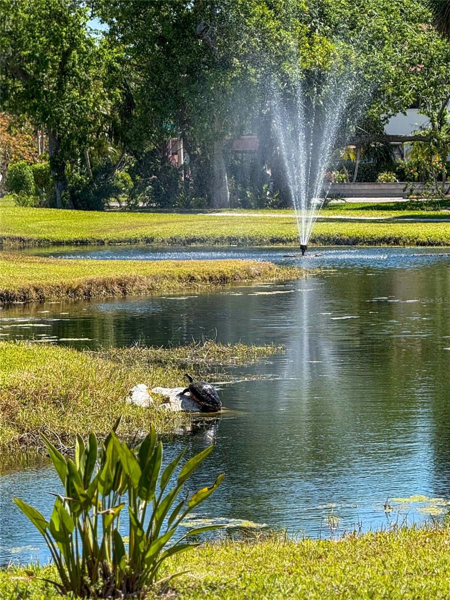 TIMBER CREEK TWO - Residential