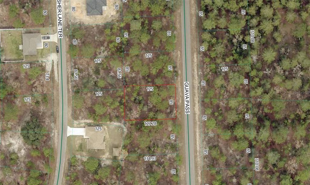 Photo of Guava Pass Lot 10, Ocklawaha, FL 32179 (MLS # P4938852)