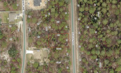 Photo of Guava Pass Lot 10, Ocklawaha, FL 32179 (MLS # P4938852)