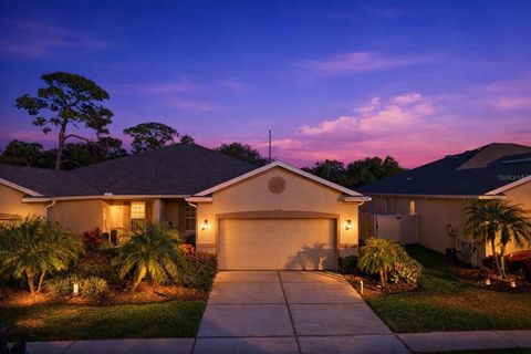 Photo of 1028 Orca Court, Holiday, FL 34691 (MLS # TB8454835)