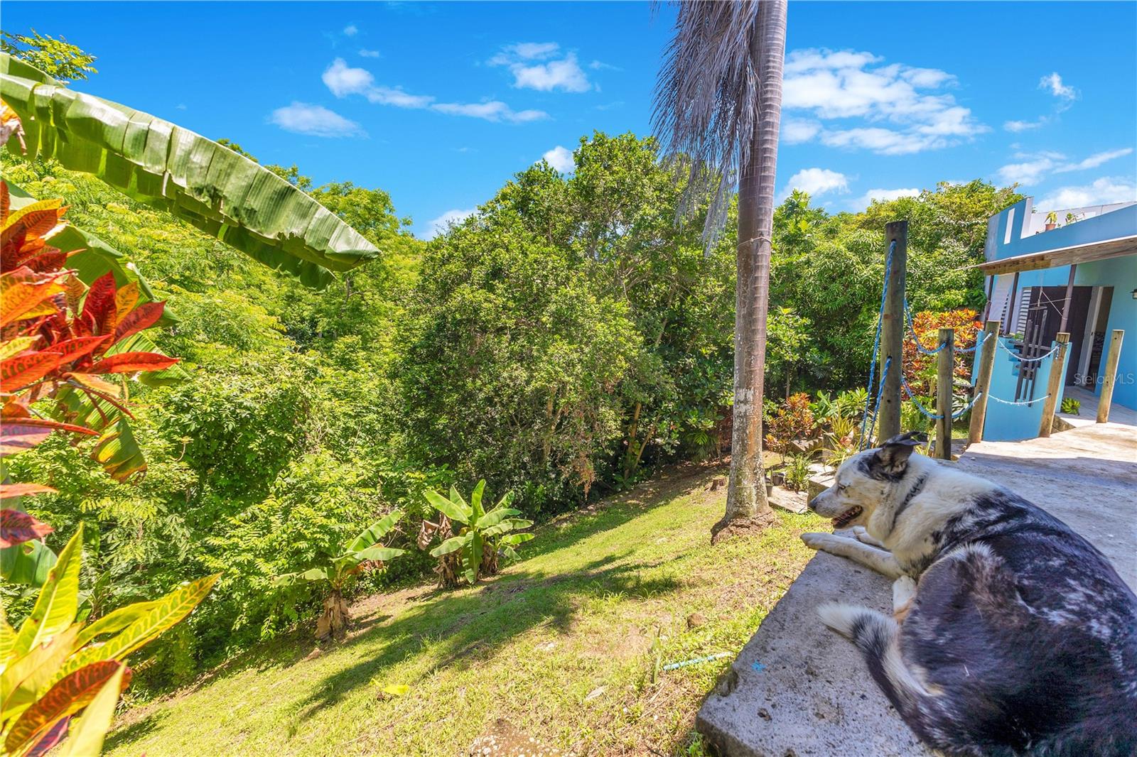 RIO GRANDE - Residential