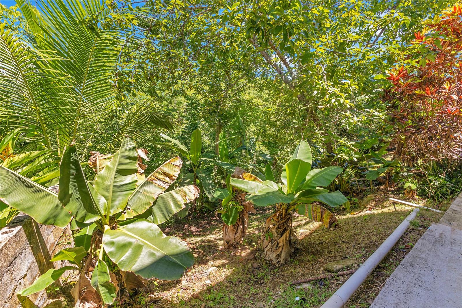 RIO GRANDE - Residential