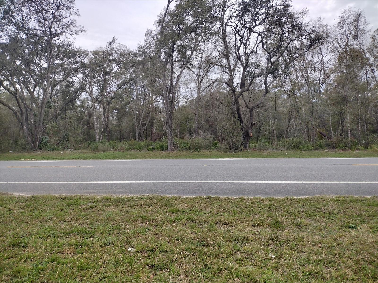 This beautiful piece of property is made up of 4 dividable parcels totaling 1.38 acre and is ready for your new home or business. Property can be easily converted to commercial zoning. Partially cleared piece of land sits right of Treiman/Hwy 301 and is surrounded by new developments. Possibilities are endless.
Seller is motivated and will consider owner financing with reasonable terms. Go direct.
