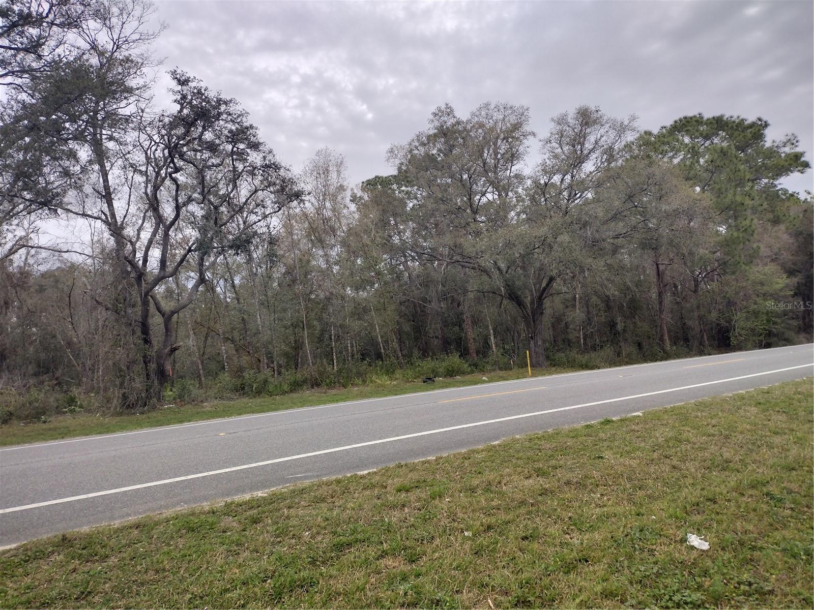 RIDGE MANOR ESTATE - Land