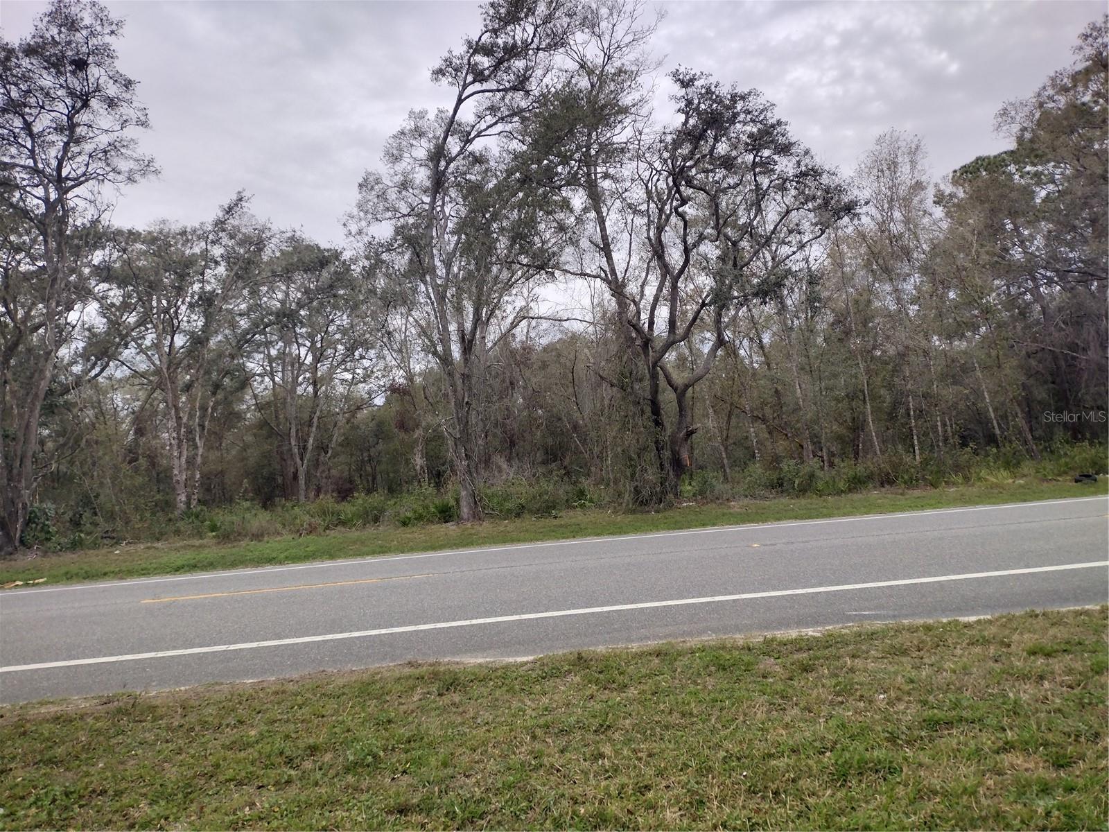 RIDGE MANOR ESTATE - Land