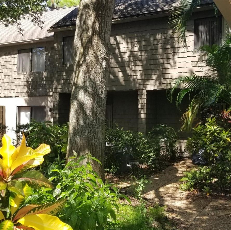 PELICAN COVE II - Residential Lease