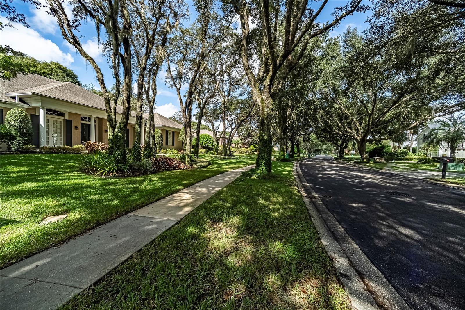 SEVILLE CHASE - Residential