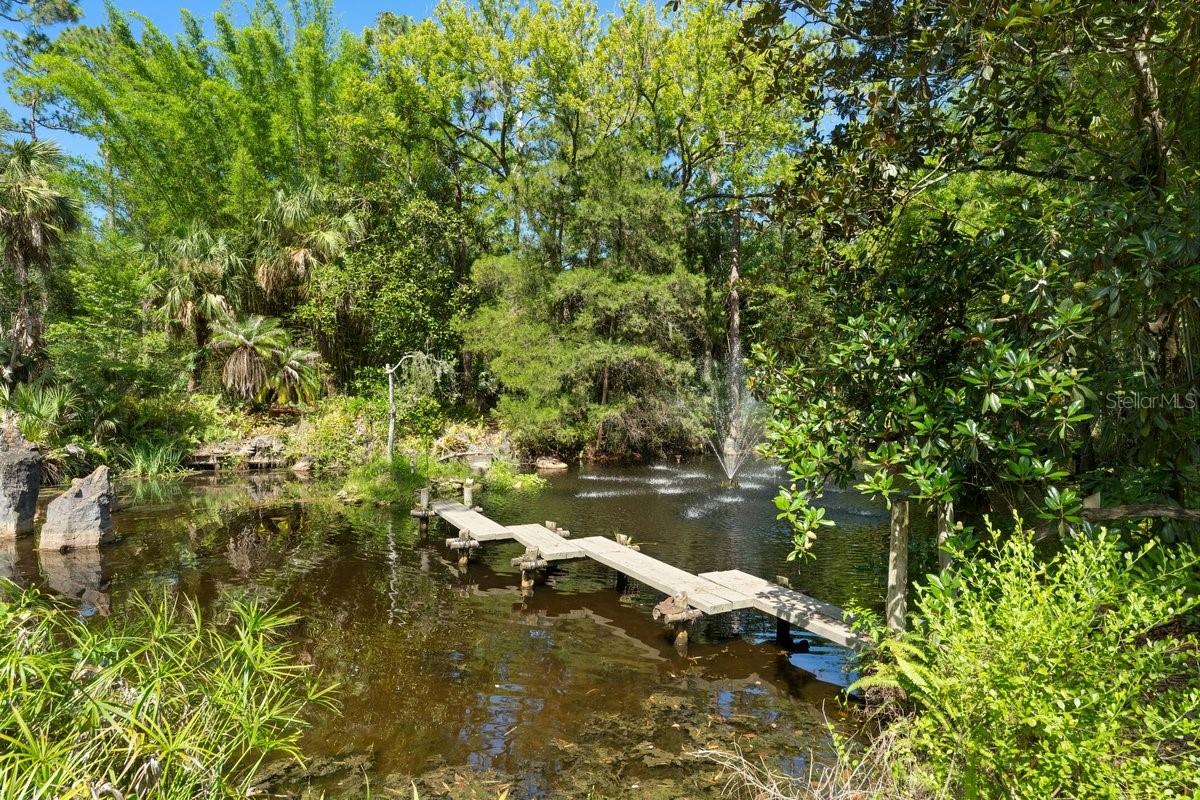 400 PINE BLUFF TRAIL