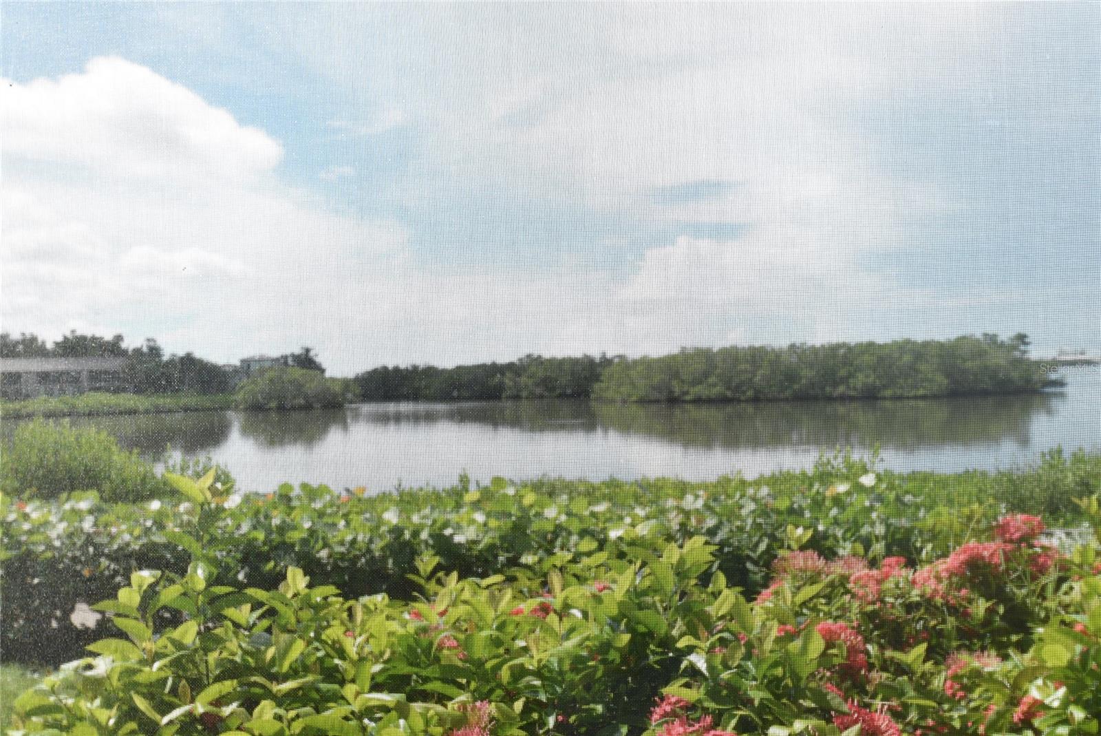 PELICAN COVE IV - Residential Lease