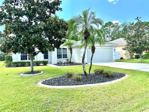 A home in PALM COAST