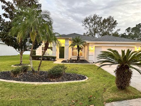 A home in PALM COAST