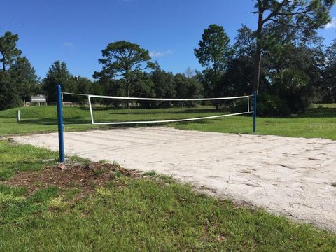 Tiny photo for Dahlia Court, Eustis, FL 32736 (MLS # V4947701)