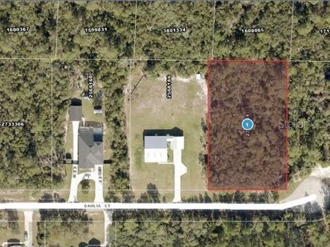 Photo of Dahlia Court, Eustis, FL 32736 (MLS # V4947701)