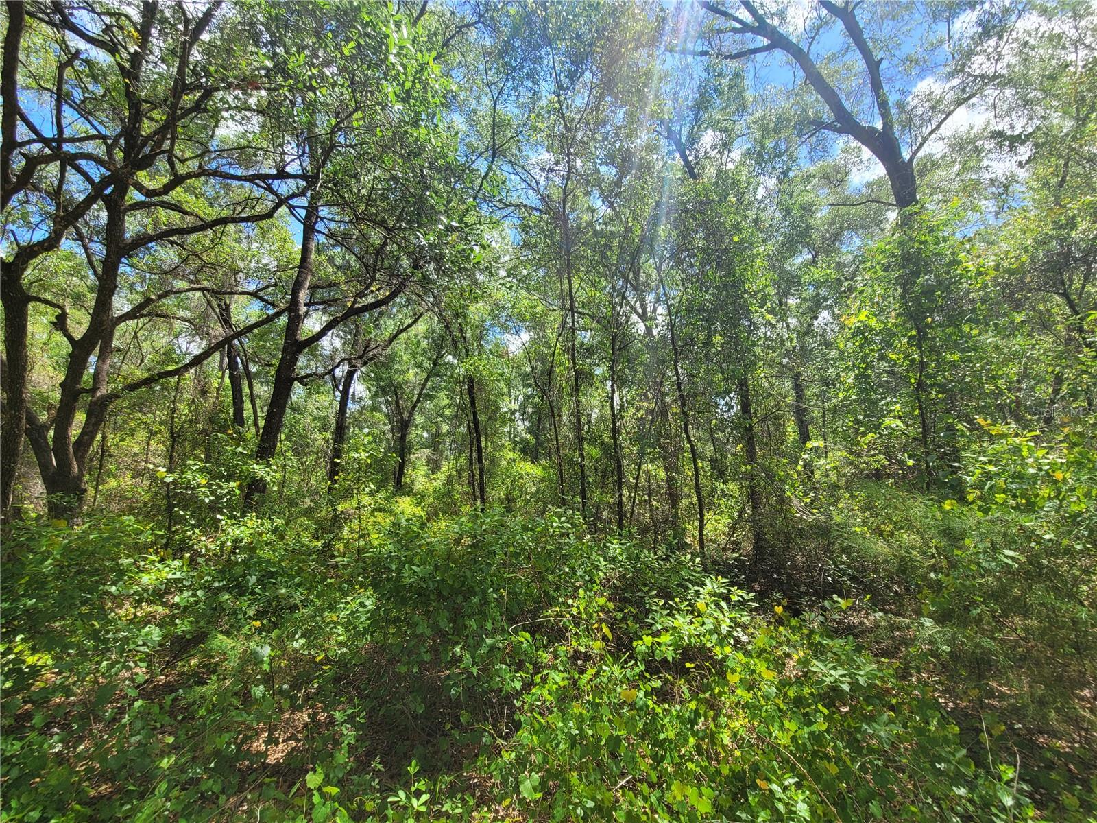 INVERNESS ACRES UNIT 2 - Land