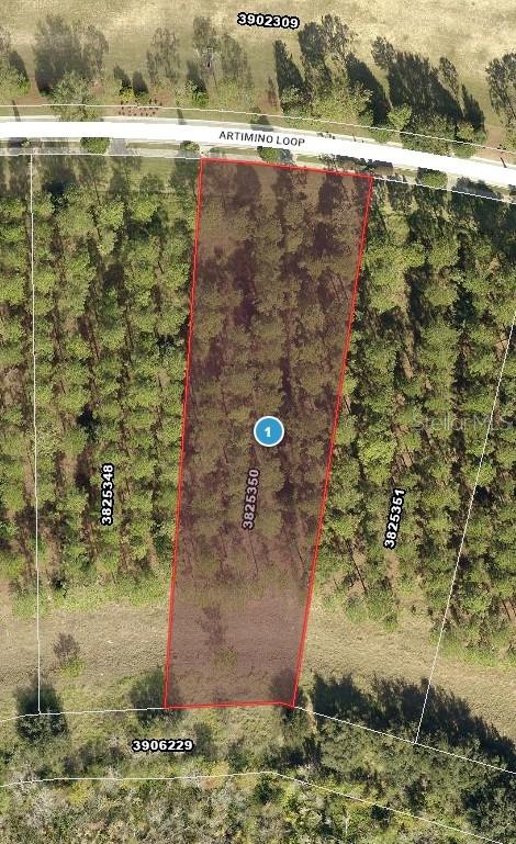 Tiny photo for 16802 Artimino Loop, Bella Collina, FL 34756 (MLS # G5107842)