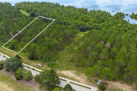 16802 ARTIMINO LOOP BELLA COLLINA FL 34756