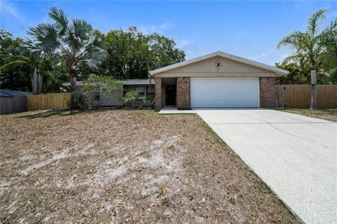Photo of 2836 Cinnamon Bear Trail, Palm Harbor, FL 34684 (MLS # TB8508548)