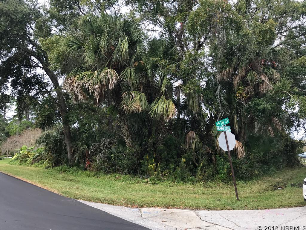 Florida Shores 01 - Land