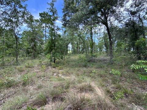 Photo of SE 16 Lane, Morriston, FL 32668 (MLS # GC541519)