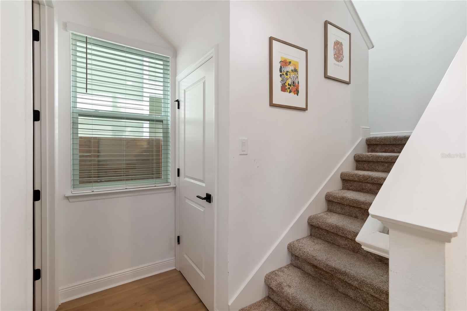 WESLYN PARK - Residential