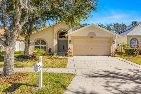 A home in WESLEY CHAPEL