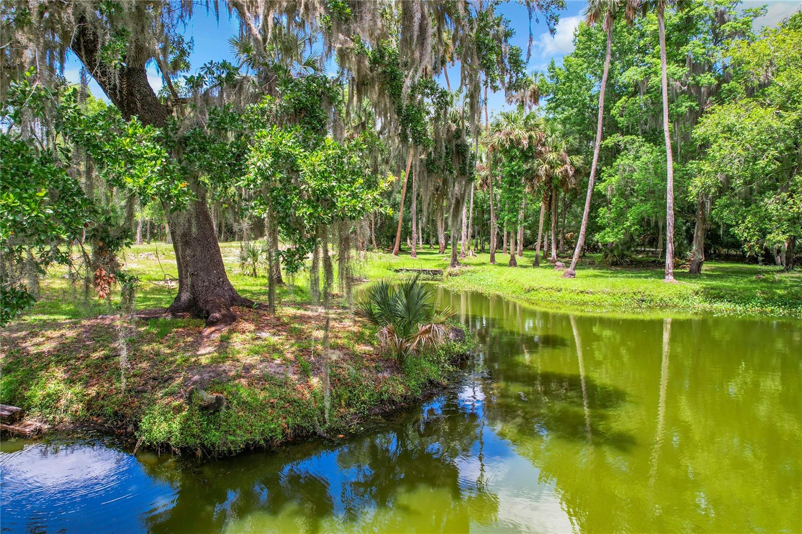 Step into a nature-lover's dream and prepare to be wowed! This sprawling 4.77-acre residential lot is nestled amongst mature trees and features an artesian well with a spring-fed pond stocked with largemouth bass. Bring your fishing poles! You may also catch bluegill, Florida gar and brim. Wildlife is everywhere- deer, turkeys and turtles roam free. The possibilities for this land are endless. Bring your builder and construct your dream home or country retreat where you will enjoy complete privacy and no HOA. Envision a lifestyle of rural charm and relaxation. Previous owners built and lived on the property from 1988-2021, so electricity has already been brought in, and there is a well and septic system on site. Zoned A1, this would also be the perfect property to bring horses, livestock, or build a huge garden. Whatever you decide to do here, you will love having the best of both worlds- the serenity of country living, with a slower pace of life, AND proximity to all the amenities offered by the urban and bustling community of Sanford. Enjoy both privacy and easy accessibility to the 417, Sanford International Airport, East Coast Florida beaches, and Orlando. Take a look at this beautifully picturesque gem of a lot and make it YOURS today! Please be aware, property may be under video surveillance. To see video of property, click "Virtual Tour" above.