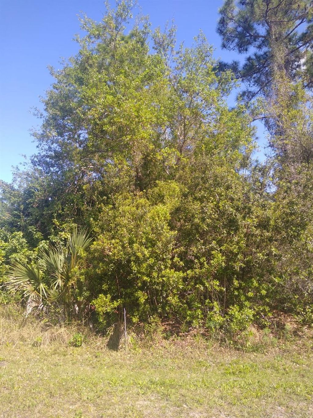 Photo of 306 Mcdill Drive, Port Charlotte, FL 33953 (MLS # C7496051)