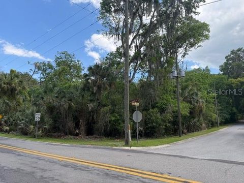 CR 234 MICANOPY FL 32667