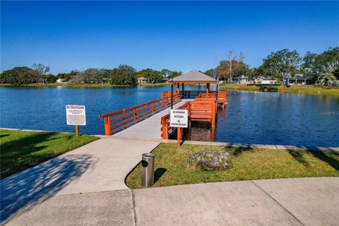 A home in PORT RICHEY