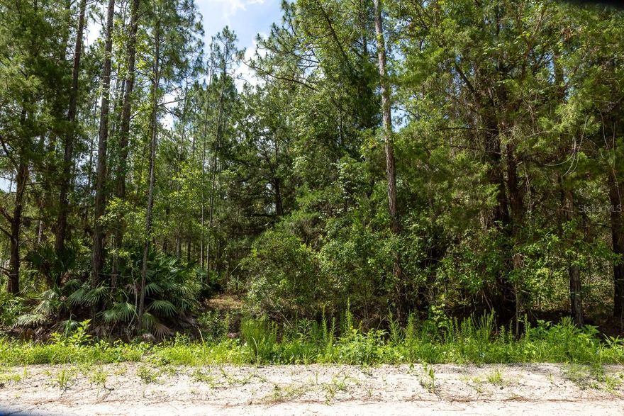 **Price Reduction** Wooded Lot 165x300' close to paved road. Zoned for Manufactured or Site built home.  Neighbor brought electric to street. Swale on left side and back of property. Buyer to do due diligence.