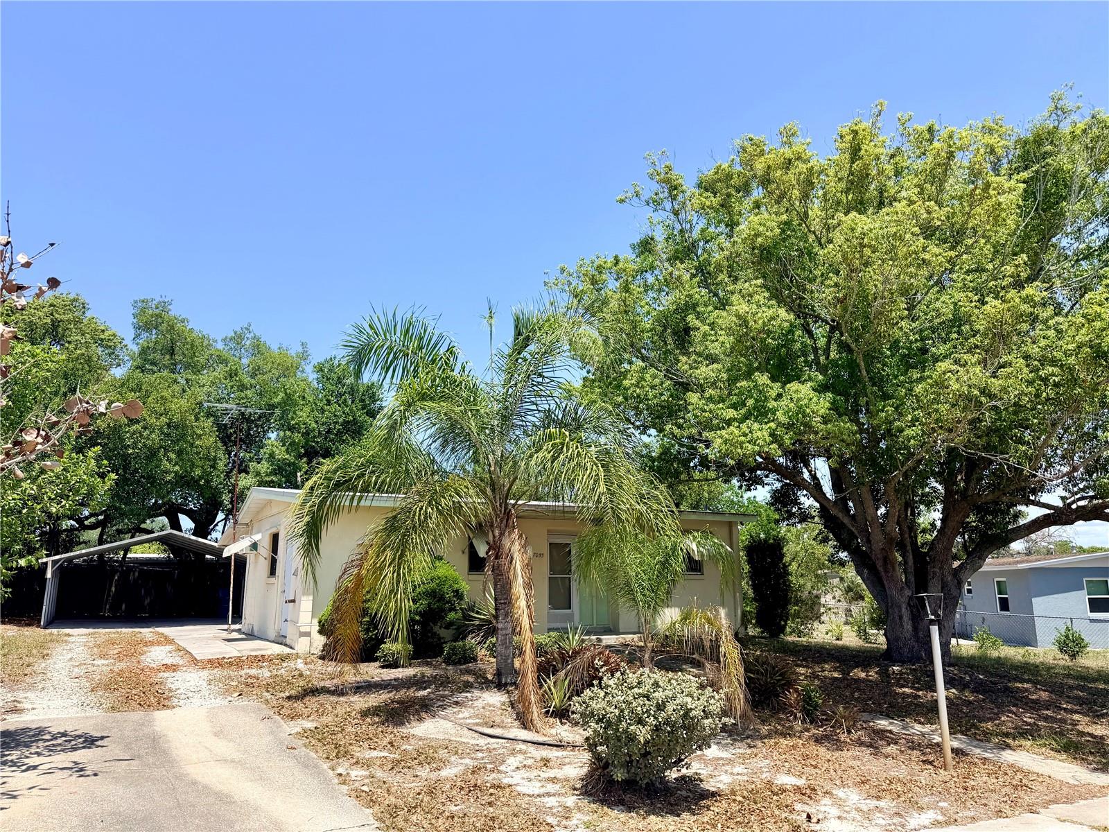 SPRING HILL - Residential