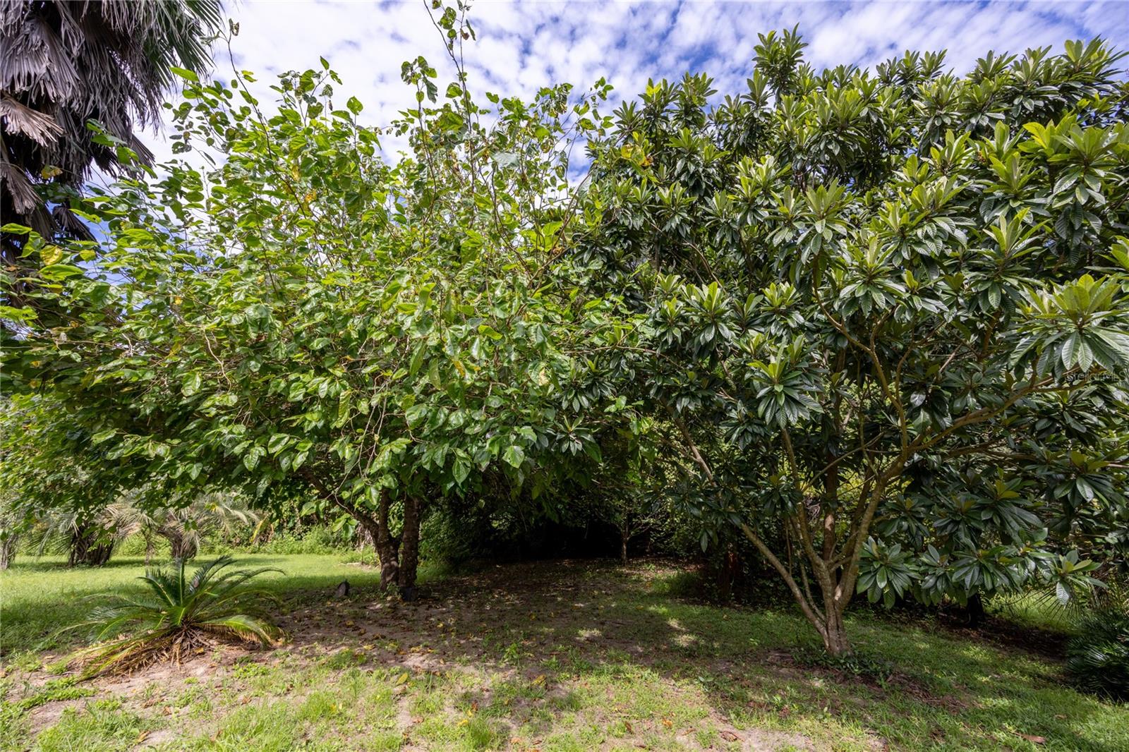 131 RILEY LAKE DRIVE