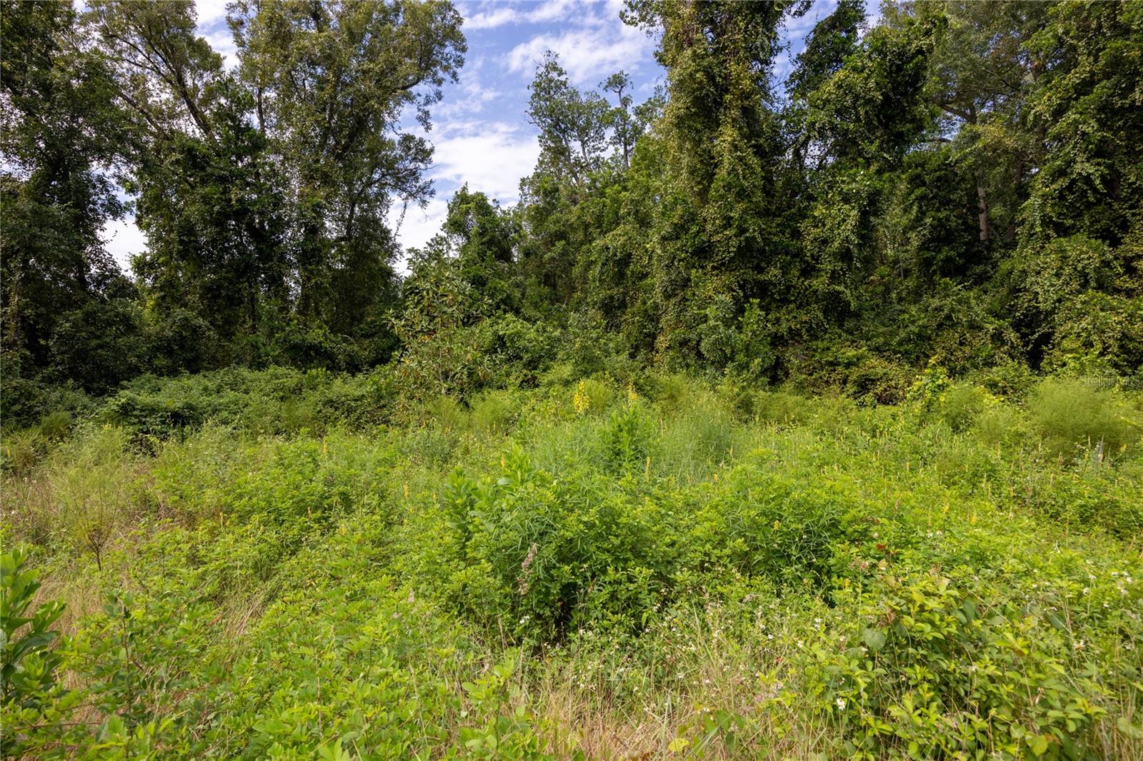 STAR LAKE FOREST UNIT 3 - Residential