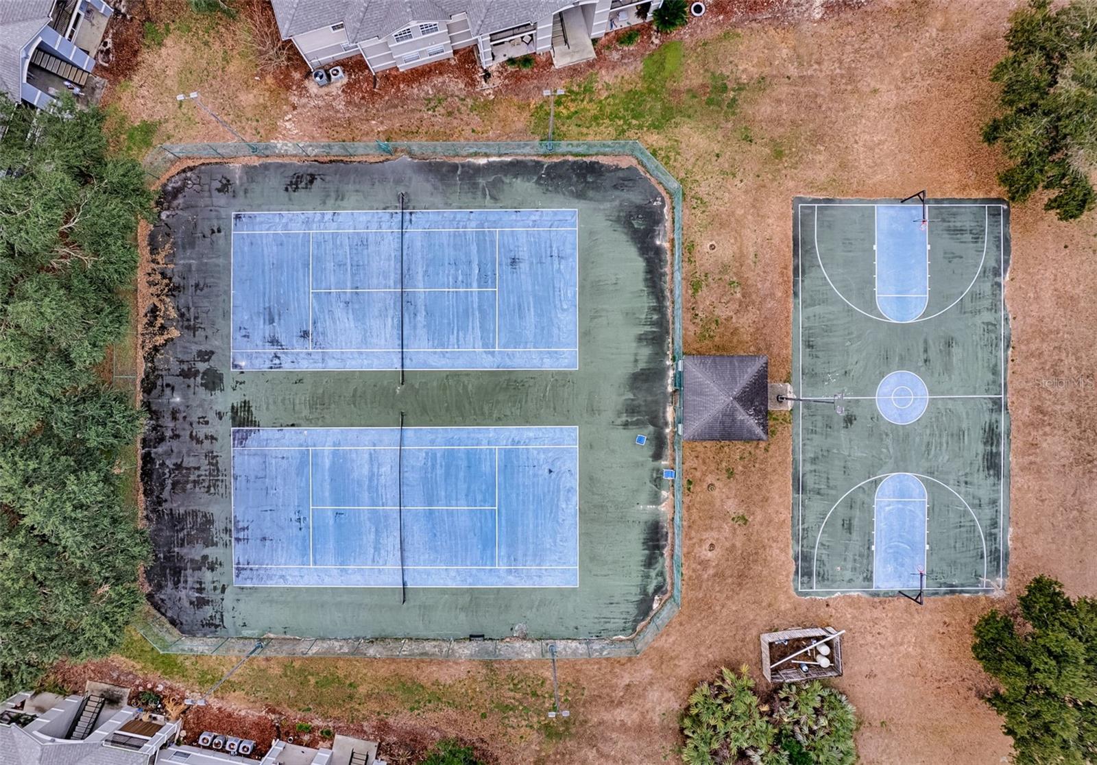 WINDSOR PARK AT GAINESVIL - Residential