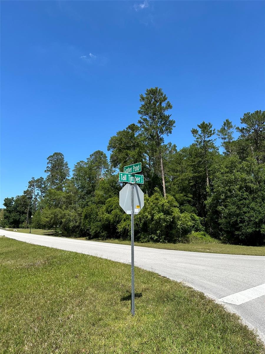 TIMBERWOOD ACRES SUB - Land