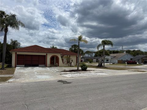 Photo of 1016 Fuchsia Drive, Holiday, FL 34691 (MLS # W7885109)