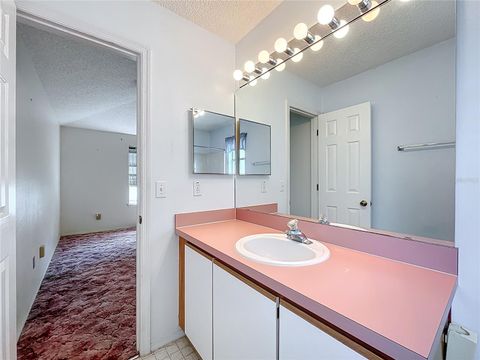 A home in MOUNT DORA