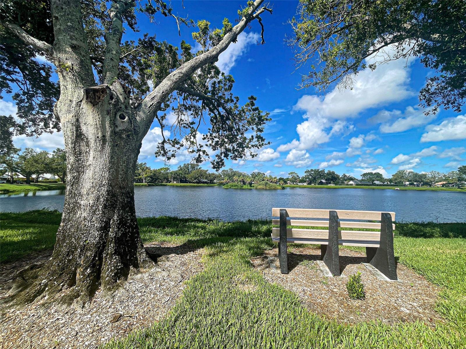 CHESTNUT CREEK VILLAS - Residential